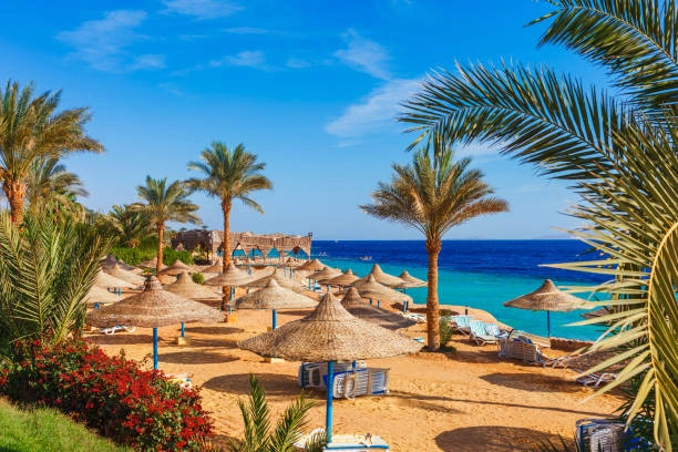 رحلة الغردقة واكتشاف سحر البحر الأحمر